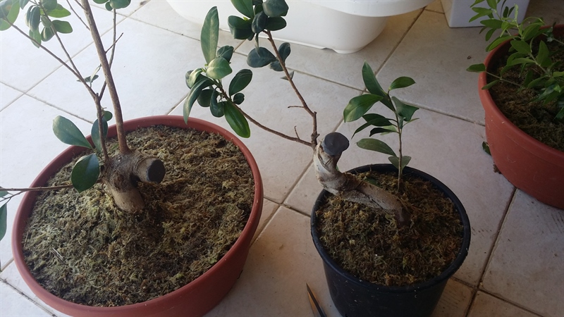 20190702_163132_800x450