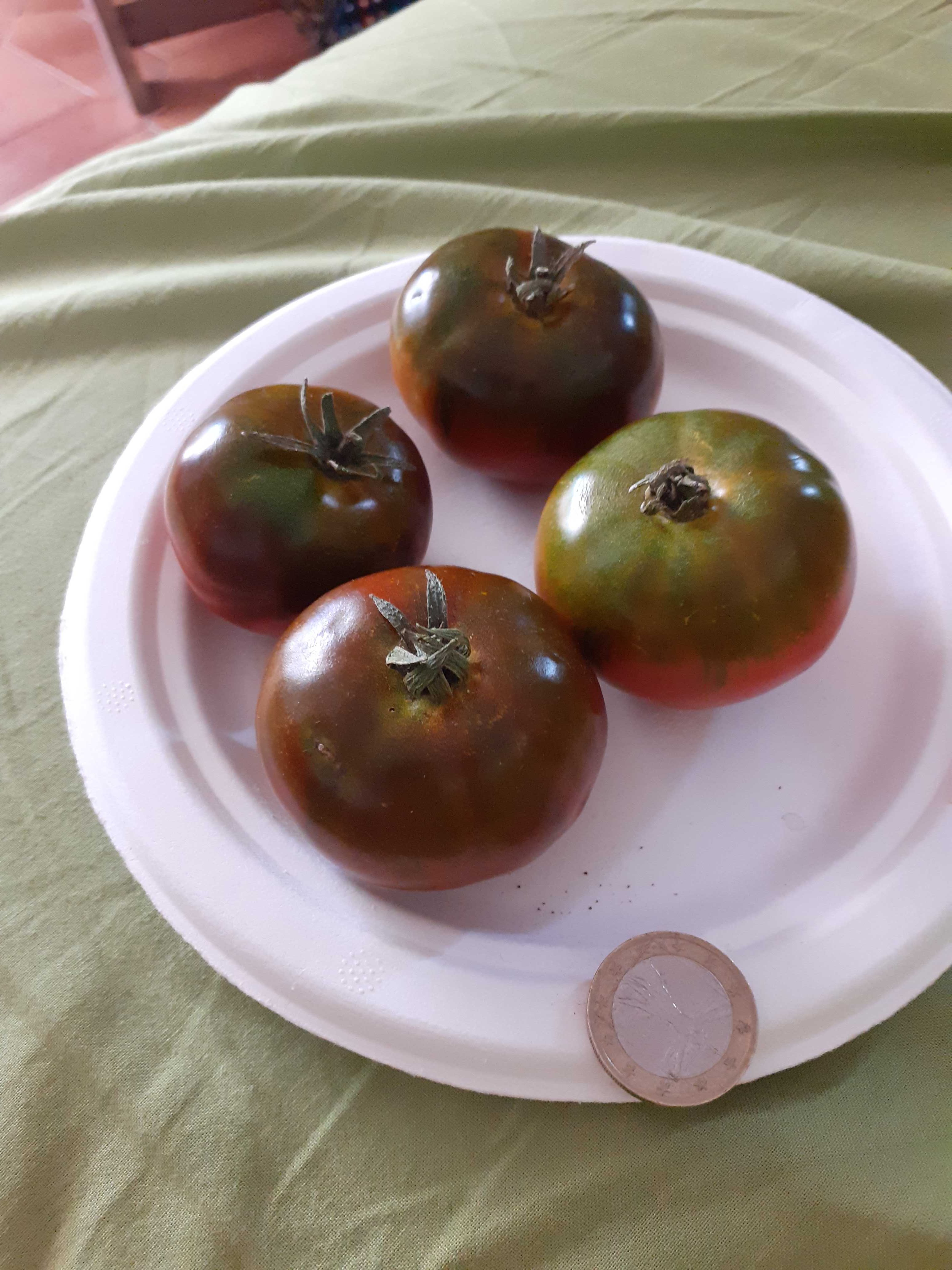 20190820_143737_compress65