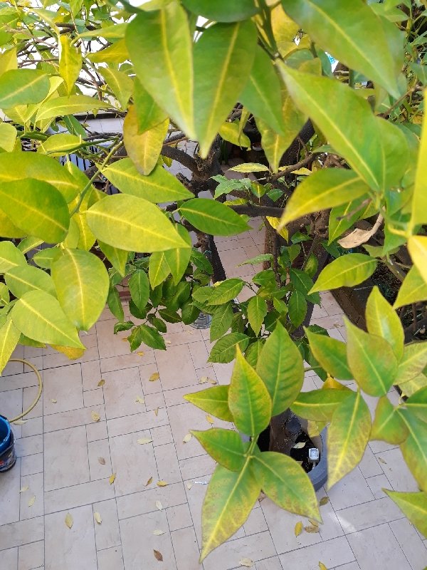 20190927_104346_resize_22