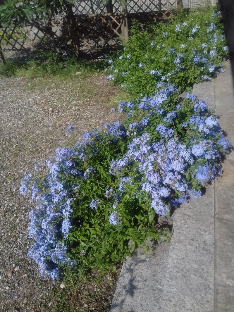 20200711_093006.jpg