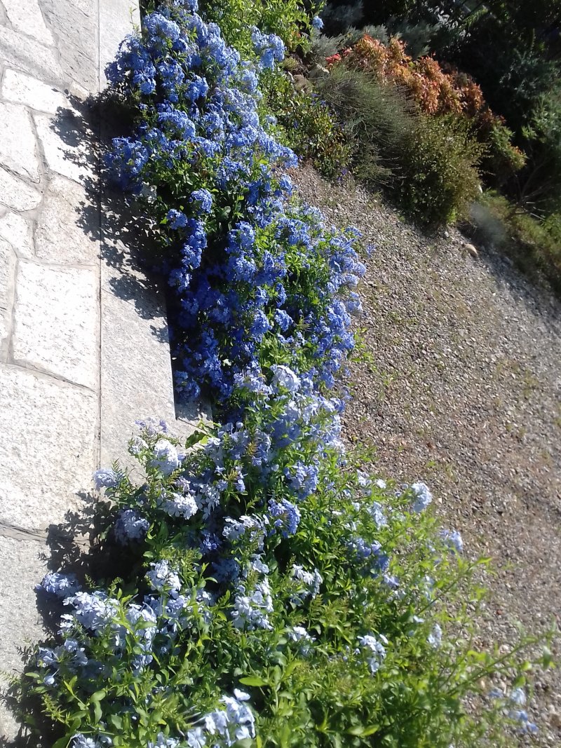 20200717_103154.jpg