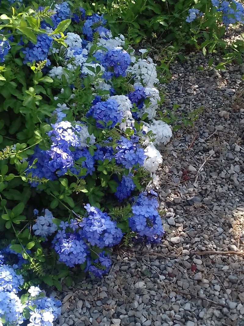 20200717_103329.jpg