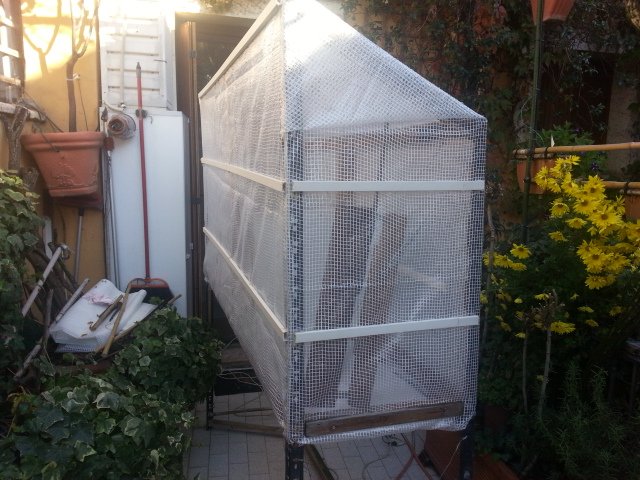 20201117_130147.jpg