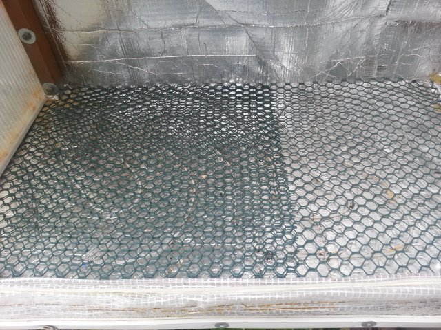 20210429_133233.jpg