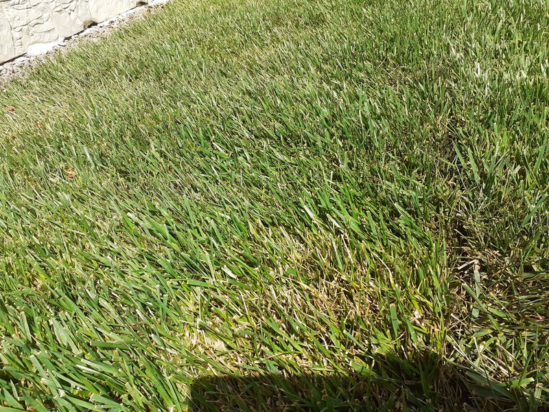 20210619_152231.jpg