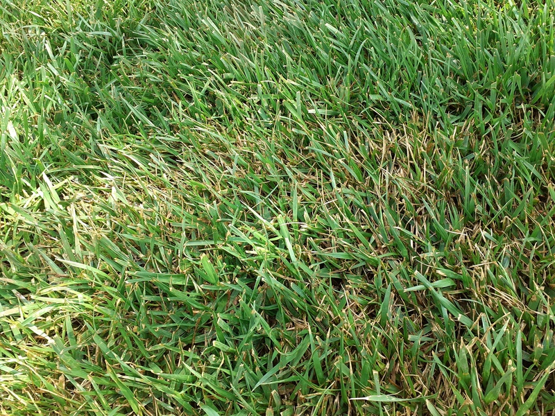 20210619_152312.jpg
