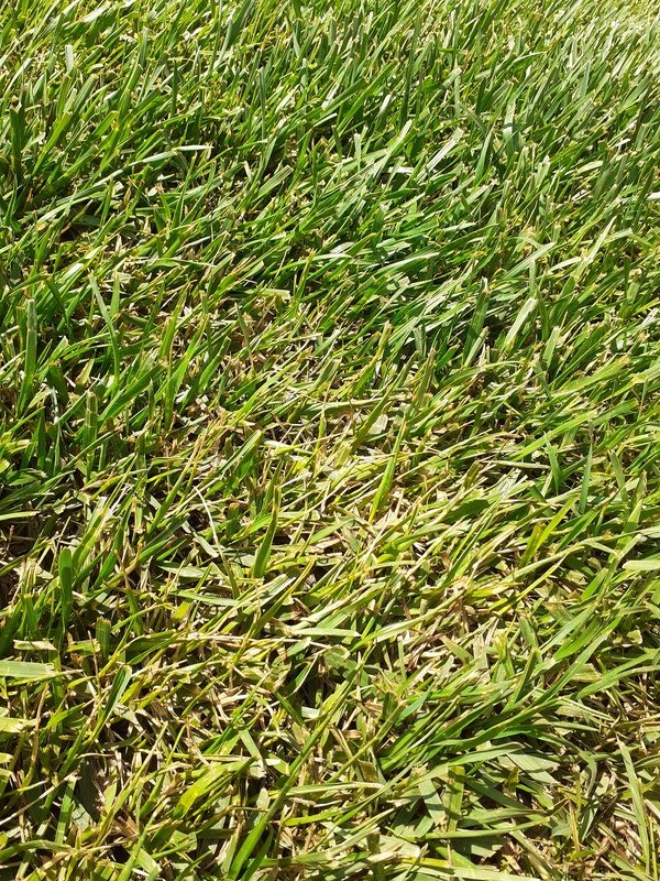 20210619_152335.jpg