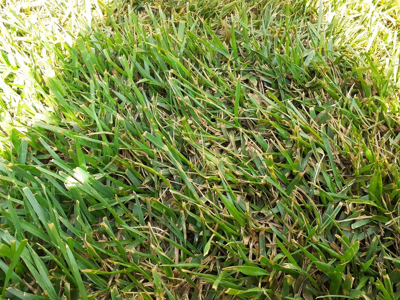 20210619_152346.jpg