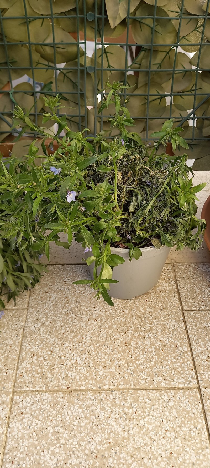 20230428_094807.jpg