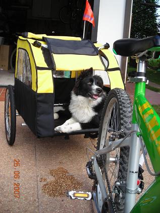 25 giugno 2007. mi hann ocomprato il carrello per la bici in previsione della san candido-linz (40 km) e per altri giri simili!