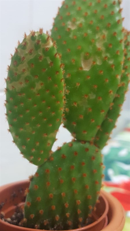 3_450x800