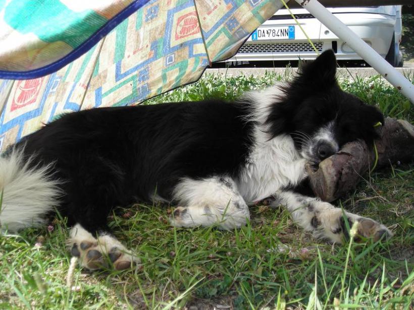 5 luglio 2008. al lago. ho un anno e mezzo. sono distrutta!