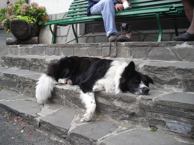 5 ottobre 2007. ho 10 mesi. sono stanca morta... ma montagna mi sfianca proprio