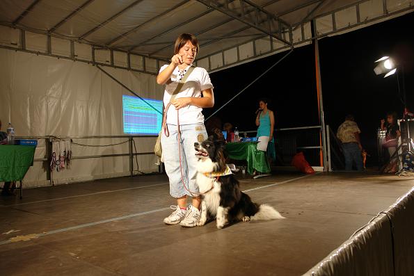 6 sett 2008. maya rivince il titolo di  miss san giorgio dog per il secondo anno consecutivo!