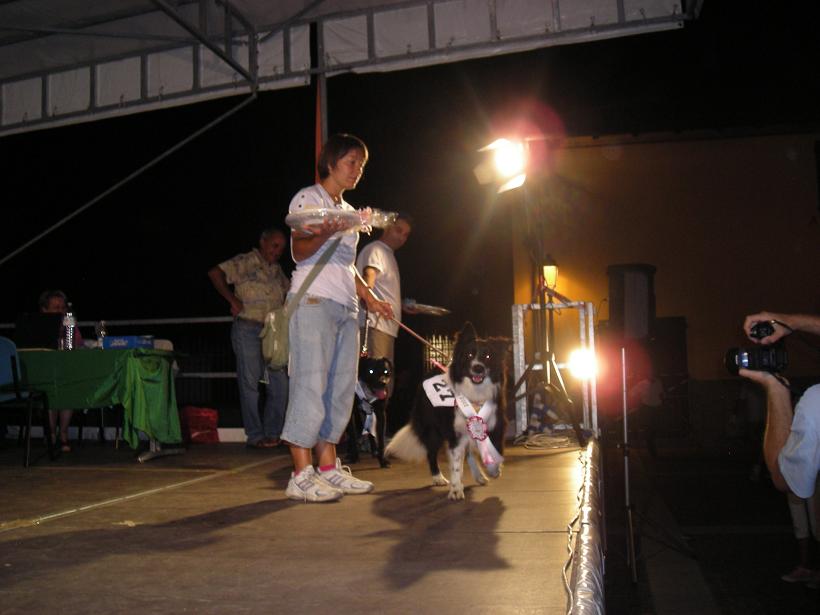 6 settt 2008 premiazioni titolo di miss san girgio dog!