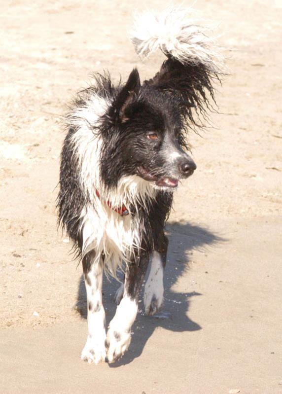 7 settembre 2007. al mare in toscana. ho 9 mesi