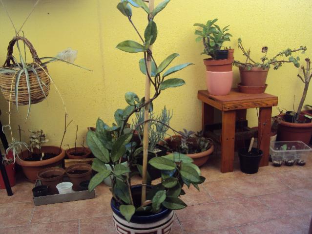 agosto 057