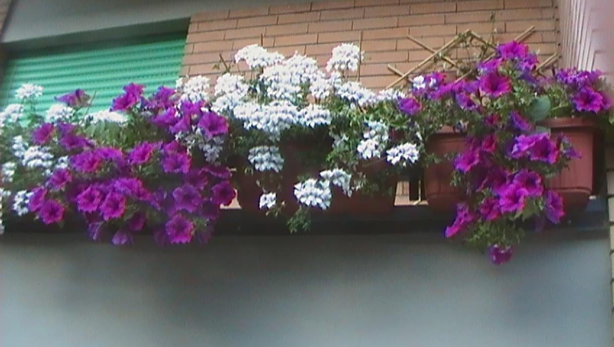 balcone 2011 010