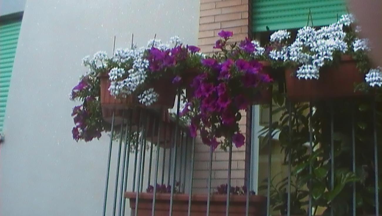 balcone 2011 011