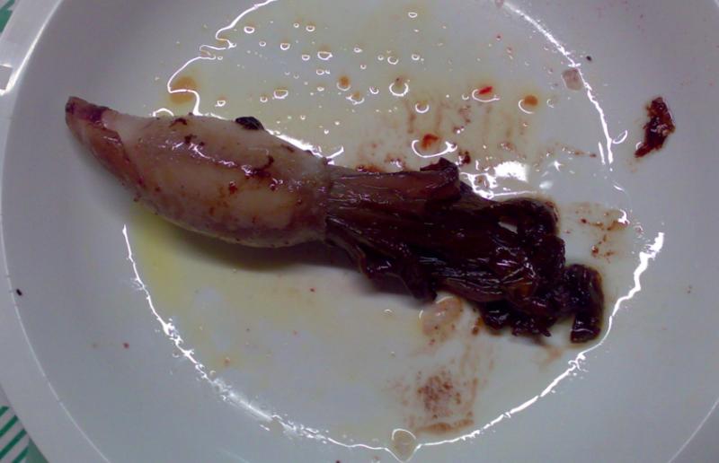 calamaro radicchio