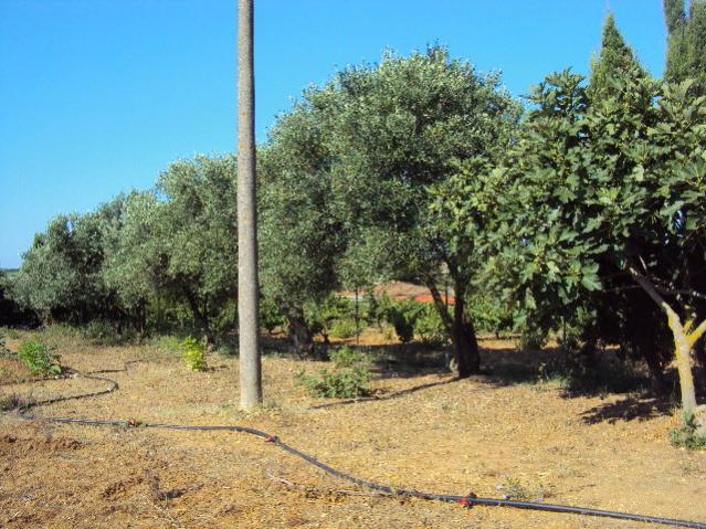 campagna 018