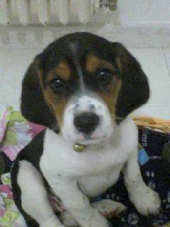 Charlie