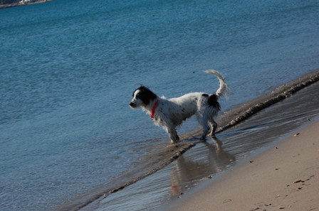 che bello il mare!