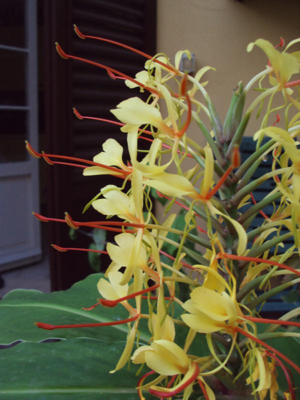 DSC00940