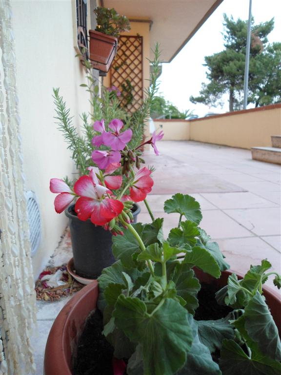 DSC01425