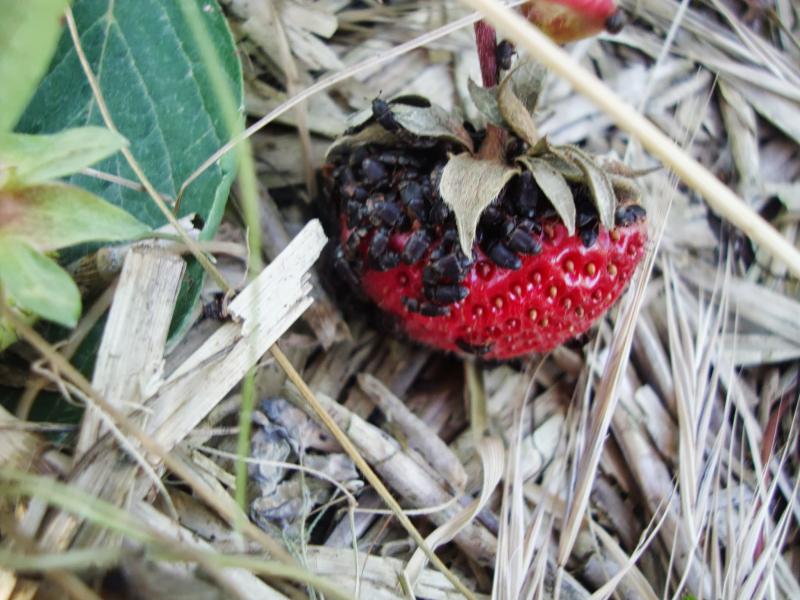 DSC01736