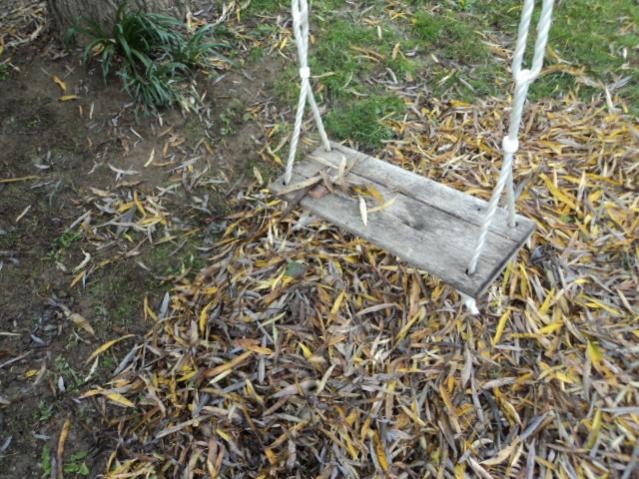 DSC01909
Le feuilles mortes