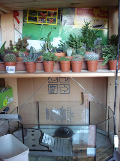 DSC05069