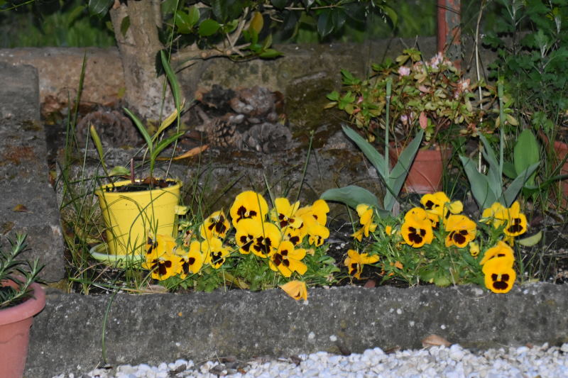 DSC_2314_00390