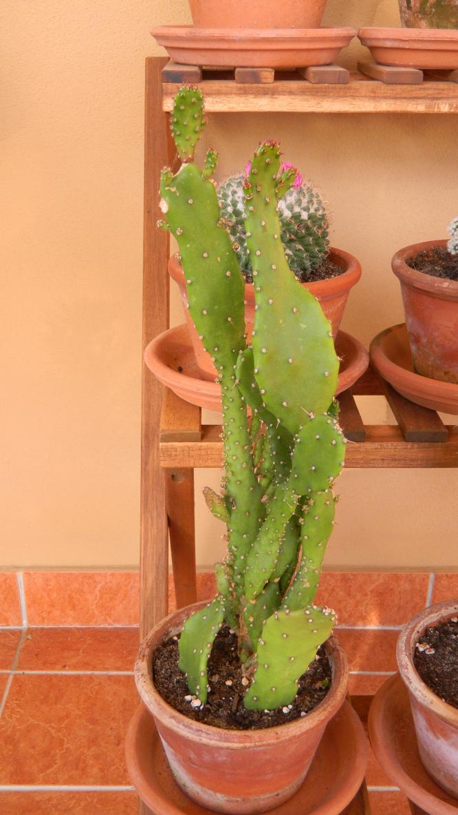 DSCN0306