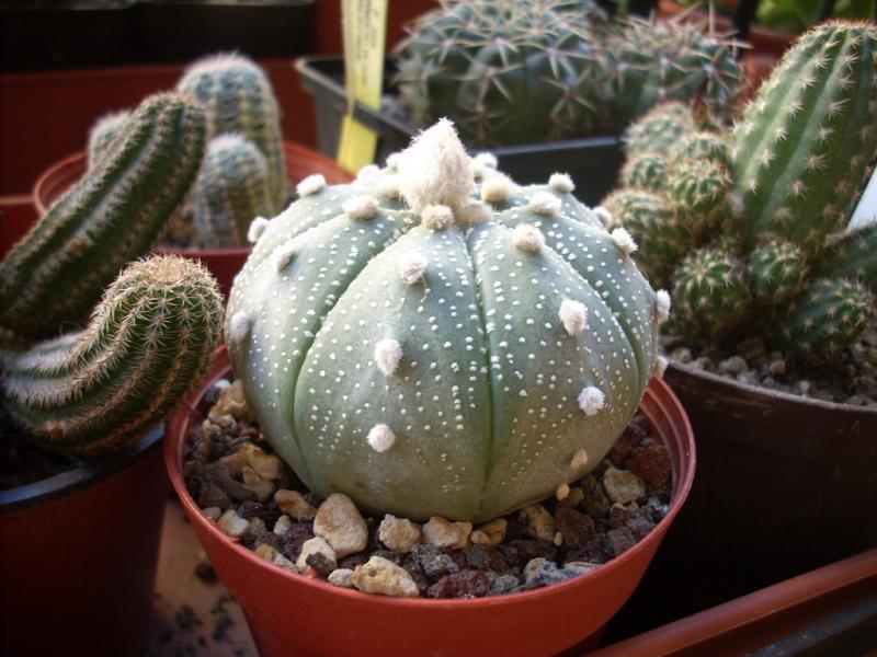 DSCN1154