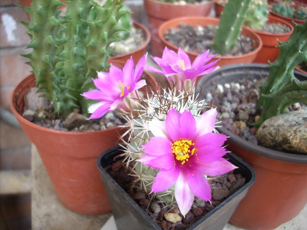 DSCN1195