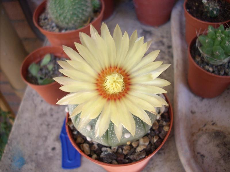 DSCN1274