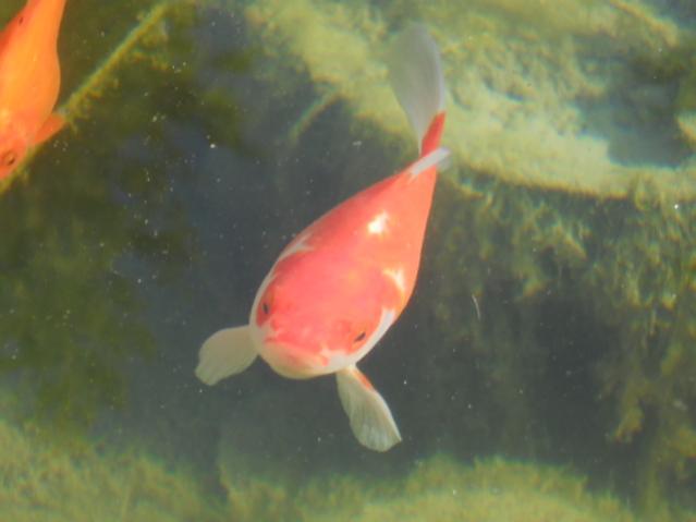 DSCN1386