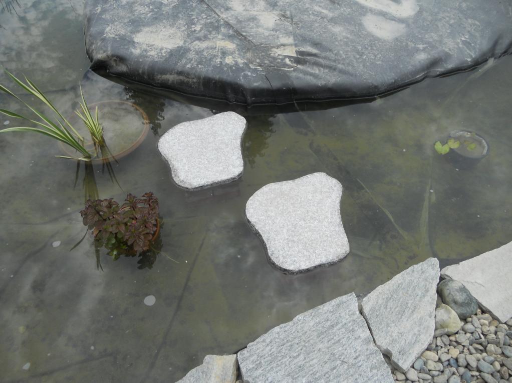 DSCN1666