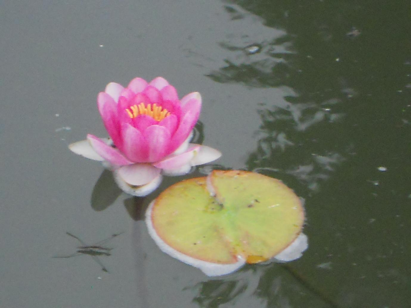 DSCN1677