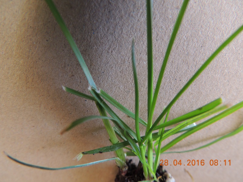 DSCN2641