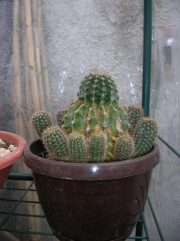 DSCN3604.