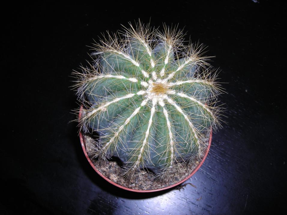 DSCN4260
