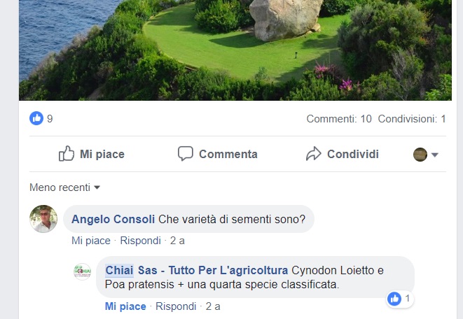 Fortestivo