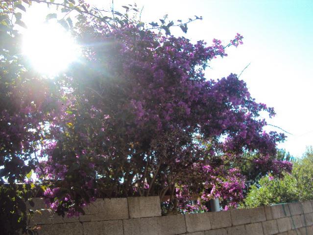 foto ezzi 032