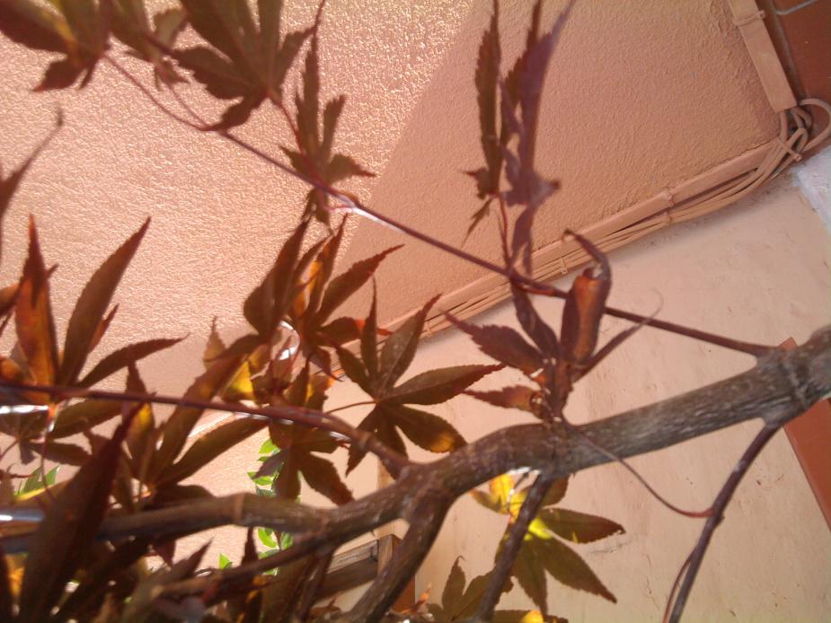 Foto0065