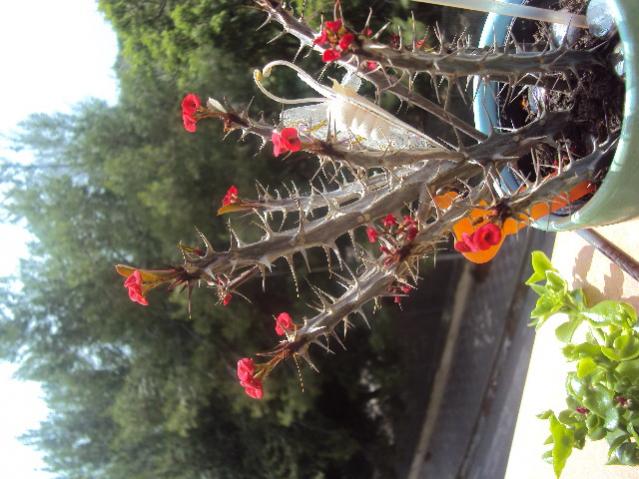 giugno 2012 002