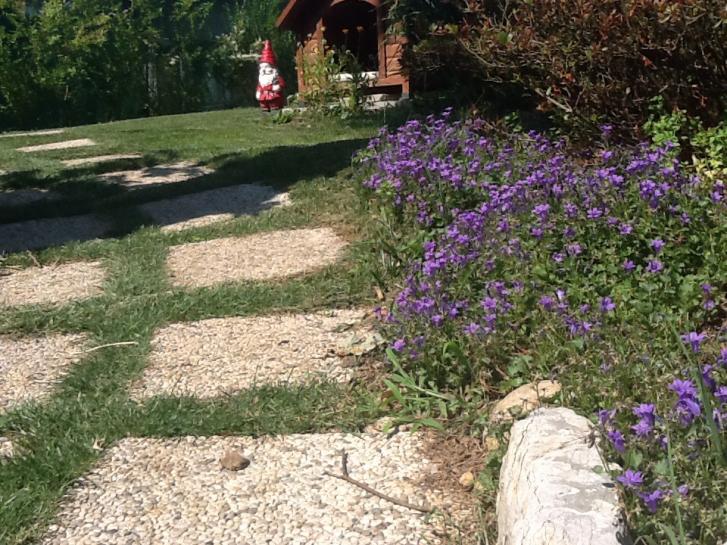 I fiori del giardino
