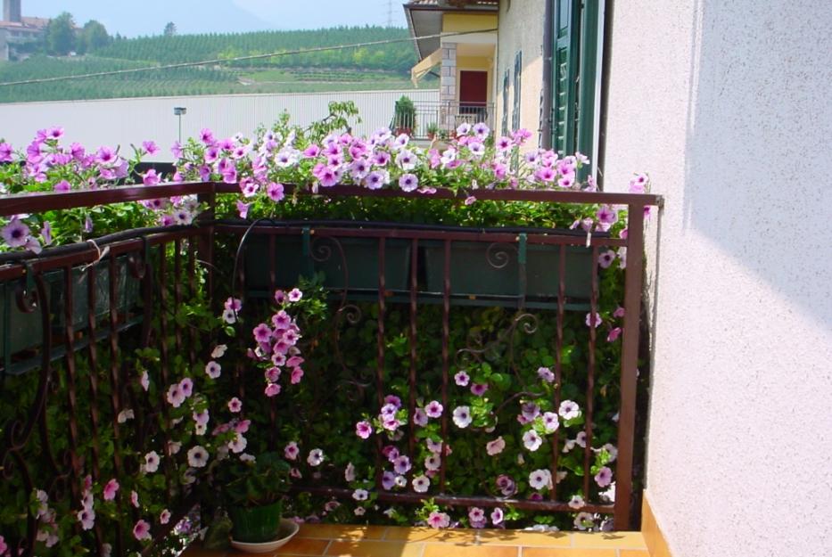 il balcone dall'interno