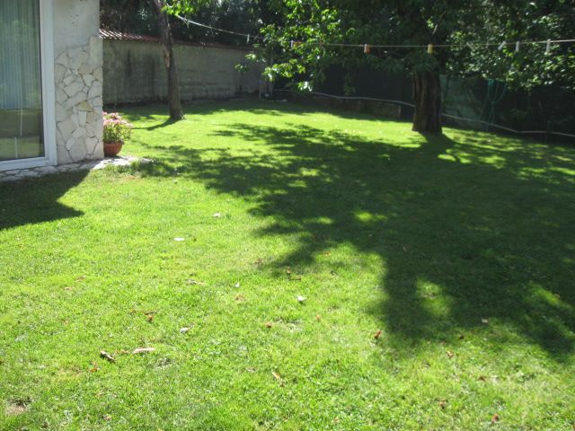 IMG 0051